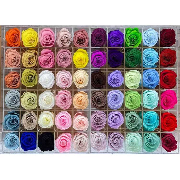 プリザーブドローズ